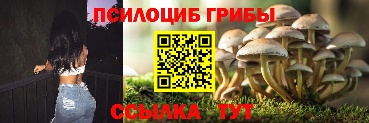 Владикавказ  Псилоцибиновые грибы прущие грибы  Вход с VPN  Галлюциногенные грибы прущие грибы 